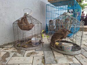 IMG 20260827 WA0032
